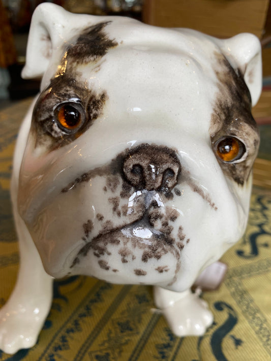 Large signed Winstanley Bulldog
