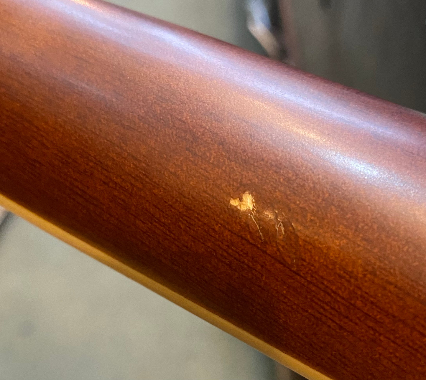 Eko Laredo FL Acoustic Guitar