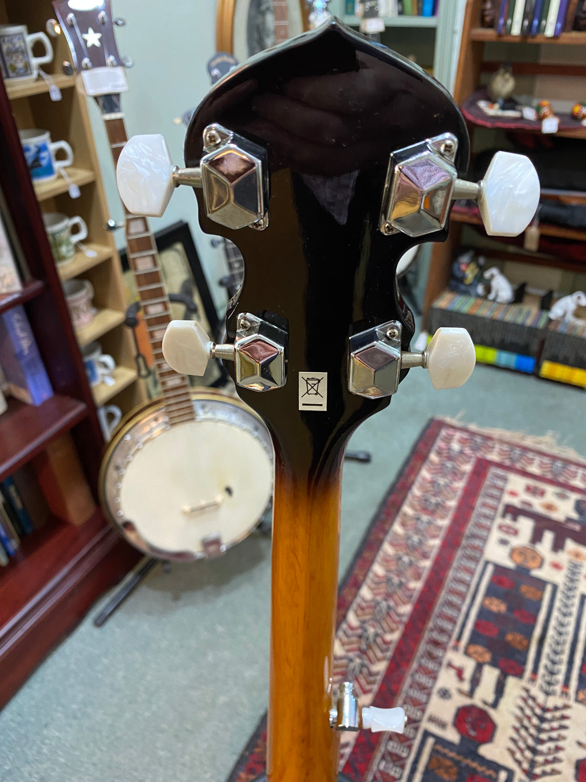 Washburn B-9 Bluegrass 5-String Banjo