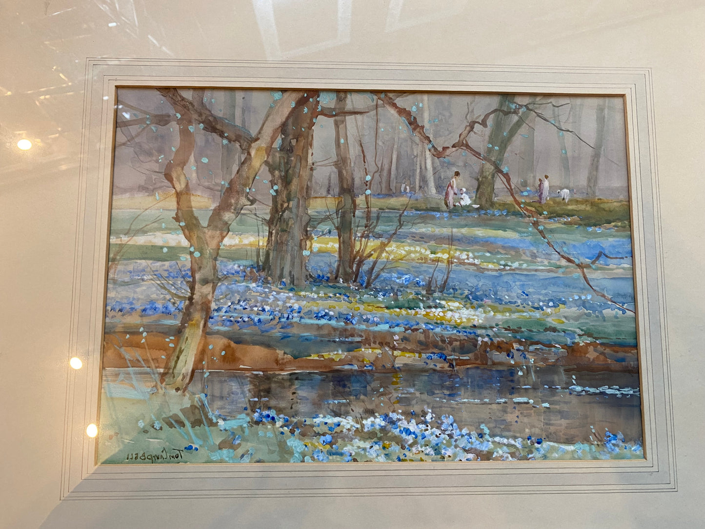 Tom Campbell Watercolour - Bluebell Woods