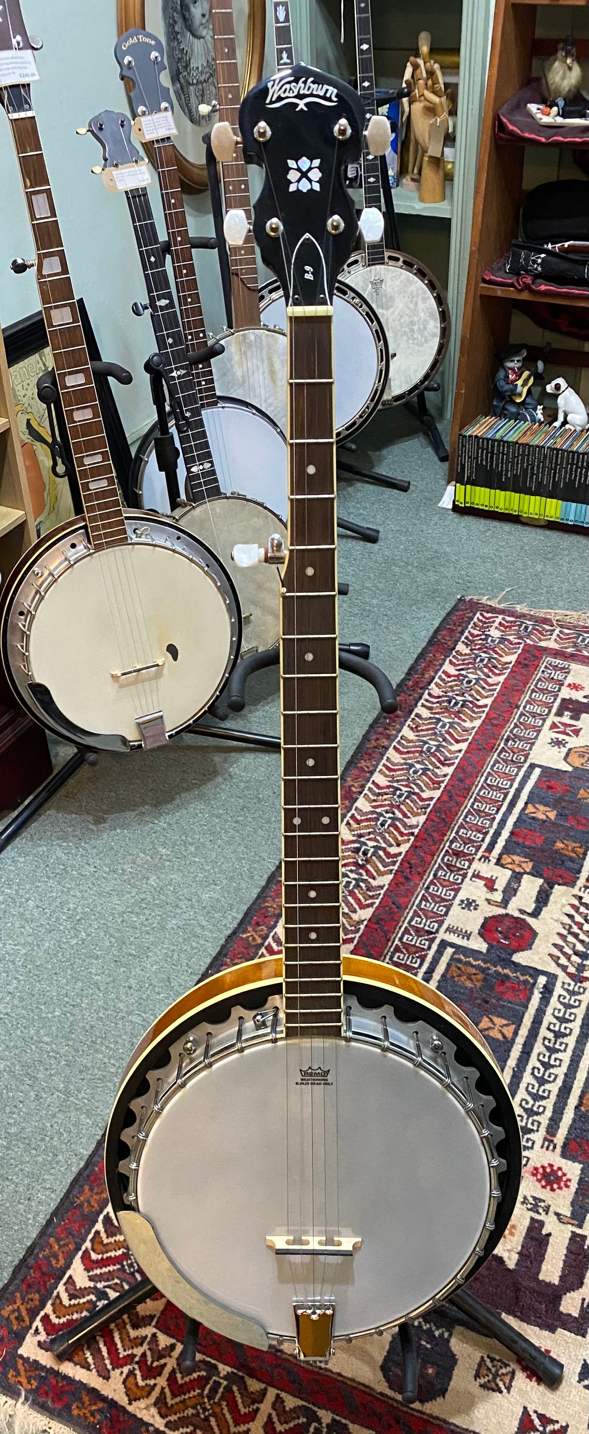 Washburn B-9 Bluegrass 5-String Banjo