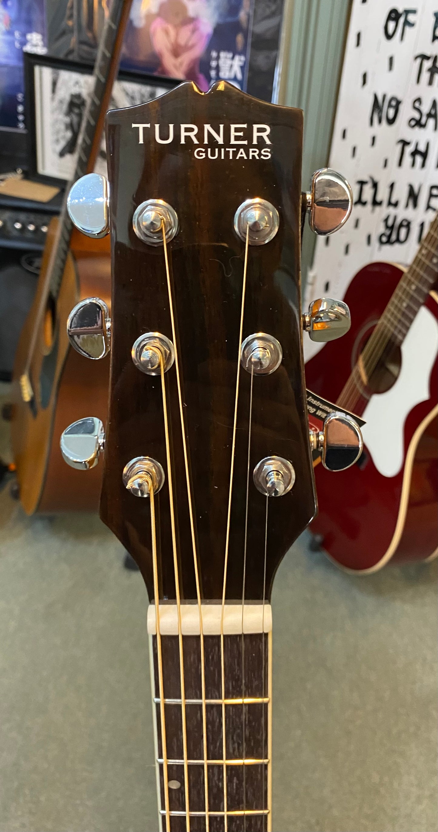 Turner 62CVES Electro/Acoustic Guitar