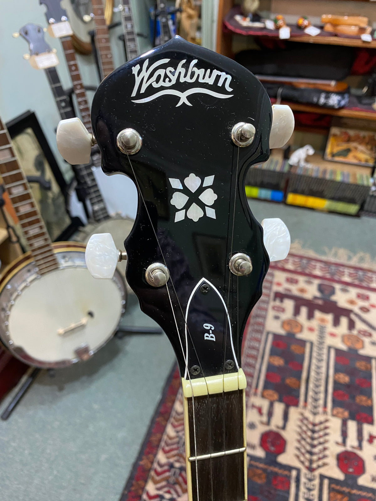 Washburn B-9 Bluegrass 5-String Banjo